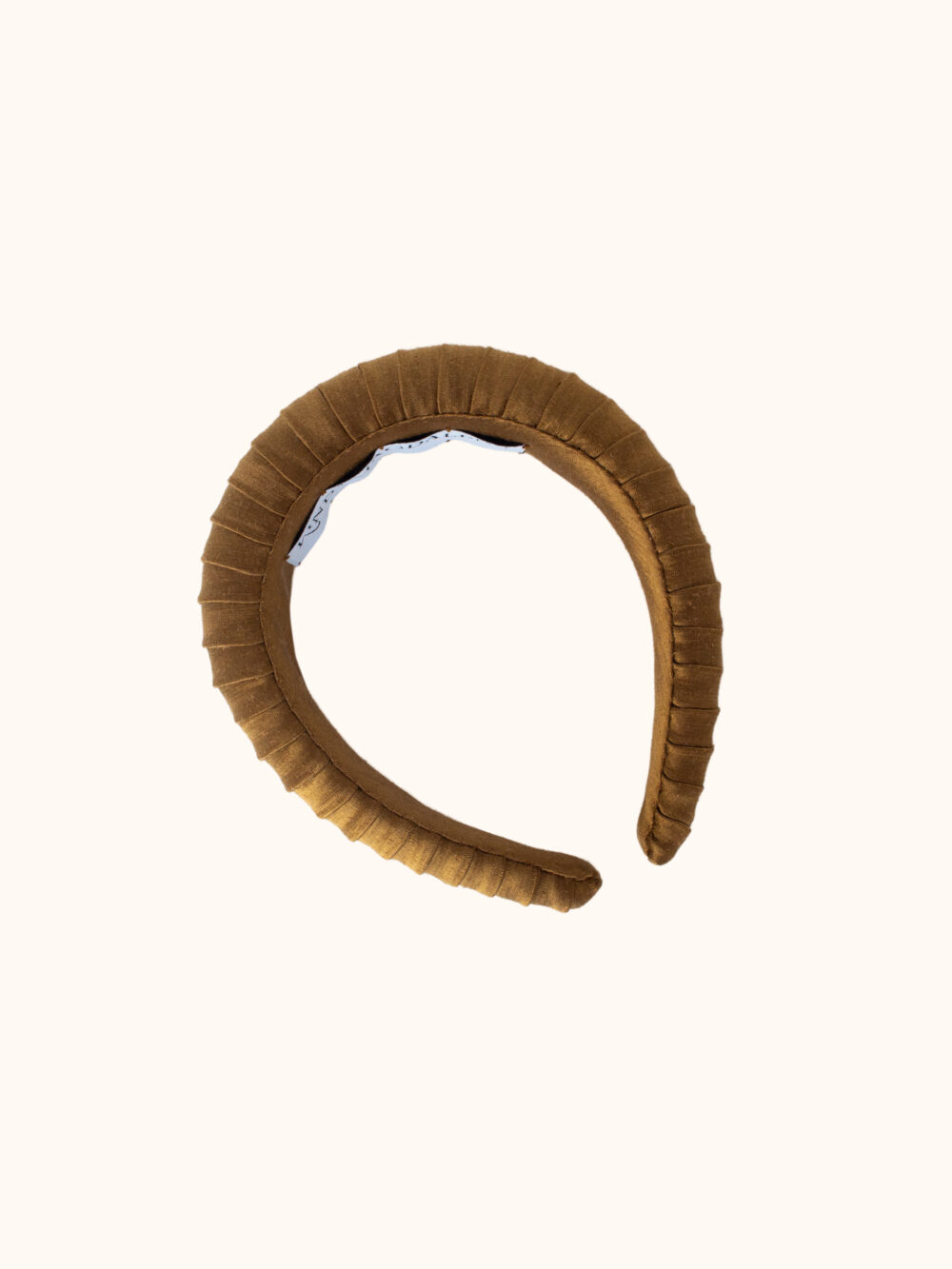 Olive Gloss Ammonite